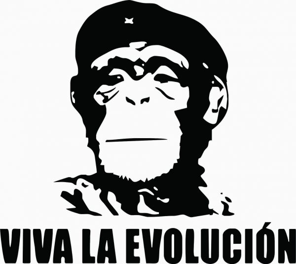 Adesivo Evolución